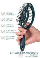 Brosse à cheveux démêlante